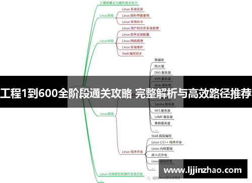 工程1到600全阶段通关攻略 完整解析与高效路径推荐