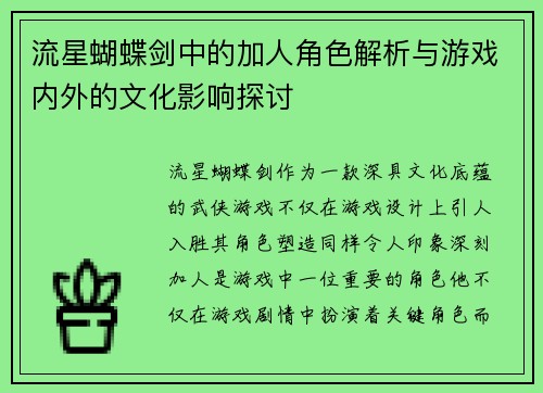 流星蝴蝶剑中的加人角色解析与游戏内外的文化影响探讨